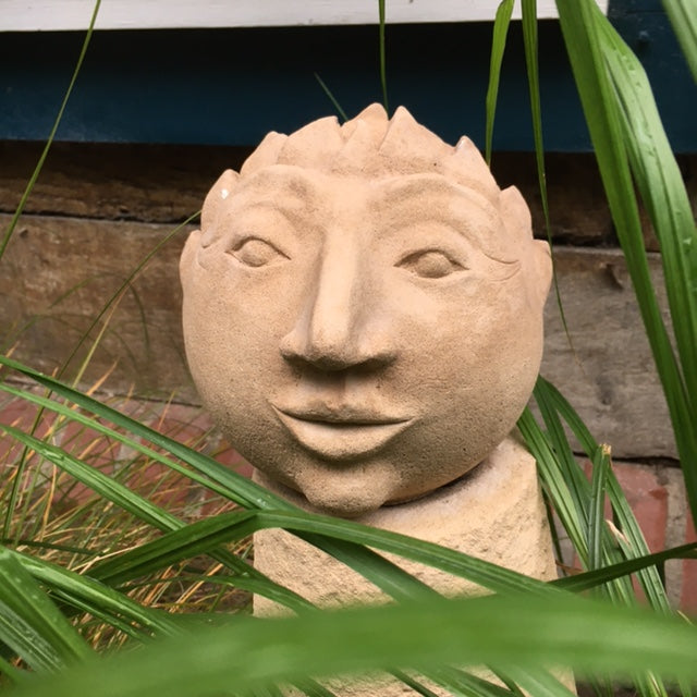 Sonnenköpfchen auf Kegel