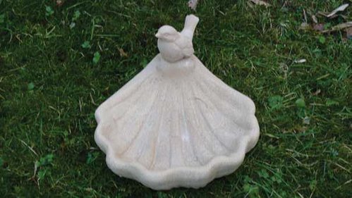 Vogeltränke Muschel