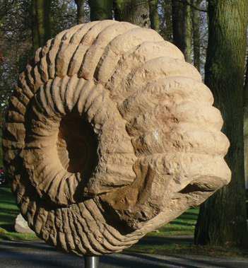 Großer Ammonit - mit kleinem auf der Rückseite | auf Stele