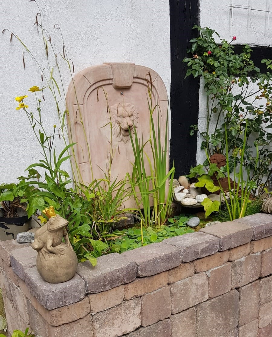 Froschkönig mit goldener Krone