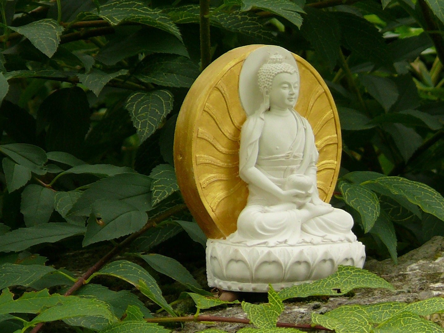 Buddha Amida | Buddha der Liebe