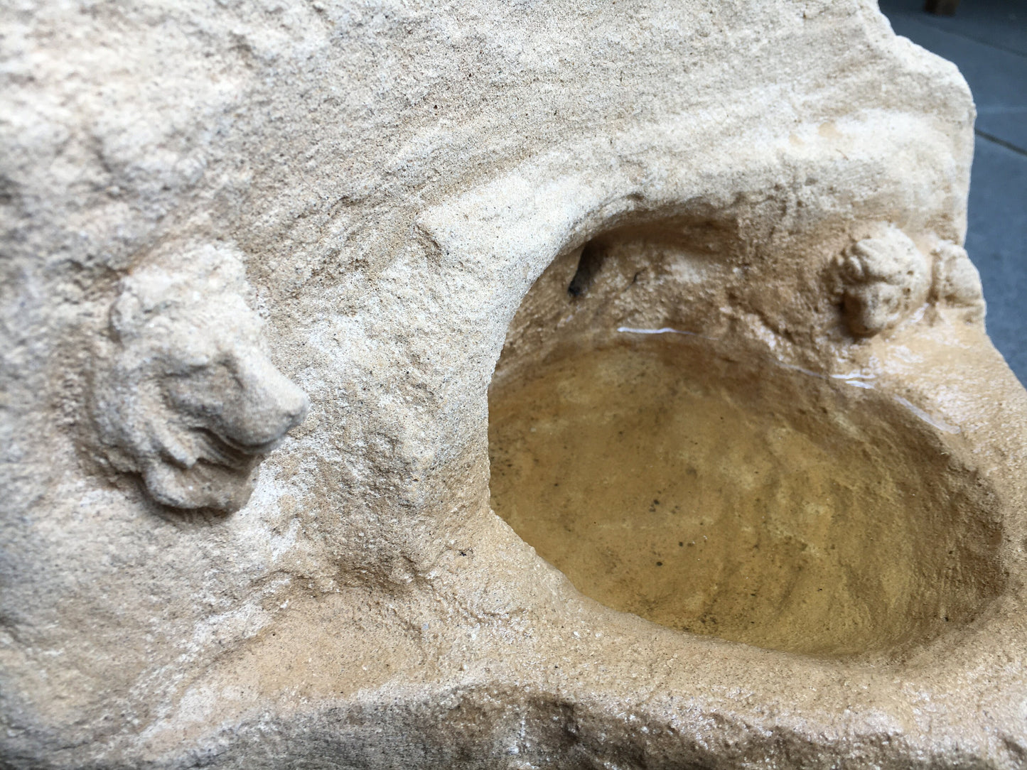 Vogeltränke "Höhle der Löwen"