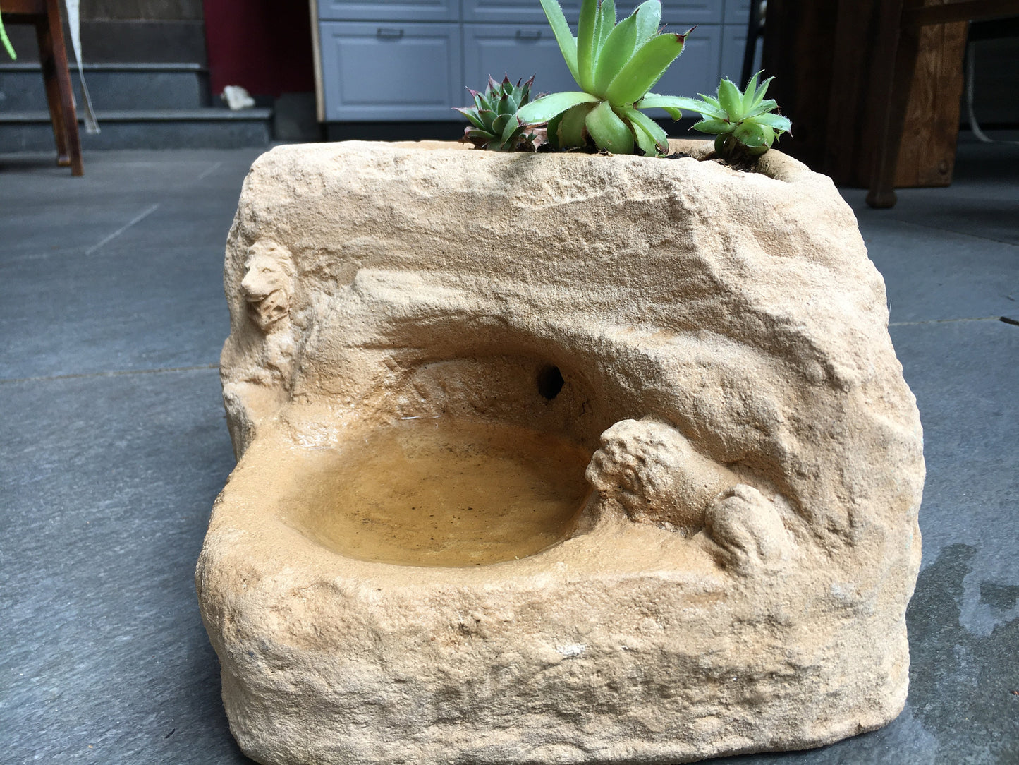 Vogeltränke "Höhle der Löwen"
