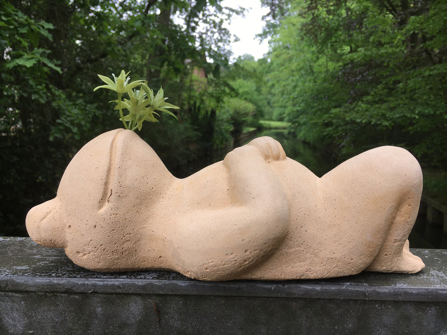 Relaxfrosch