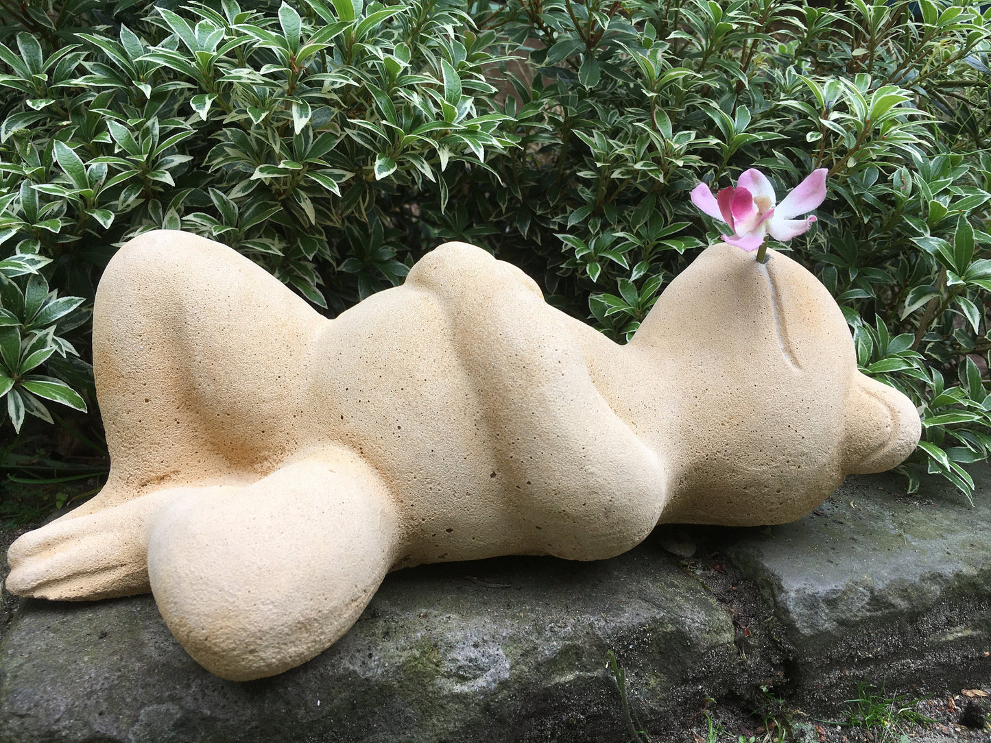 Relaxfrosch