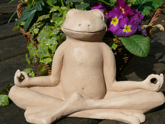 Frosch in Meditation